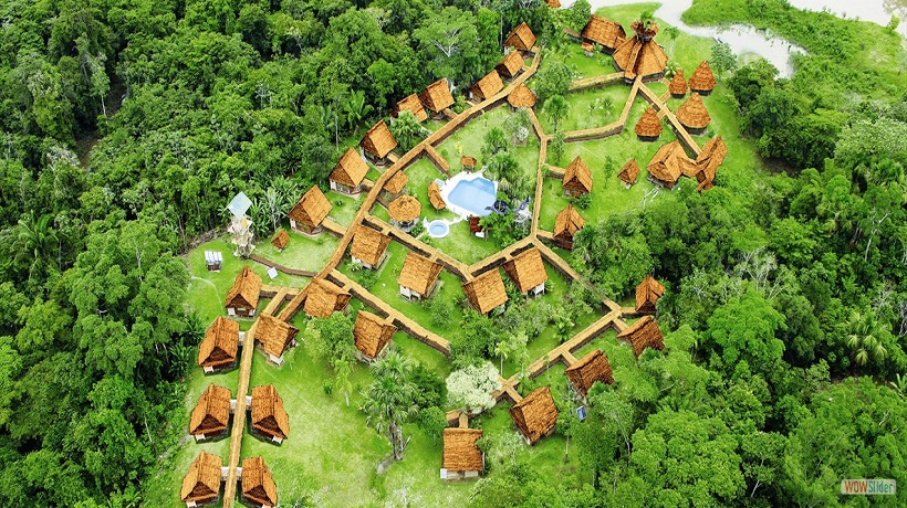 Amazon Rainforest A. Nuevo