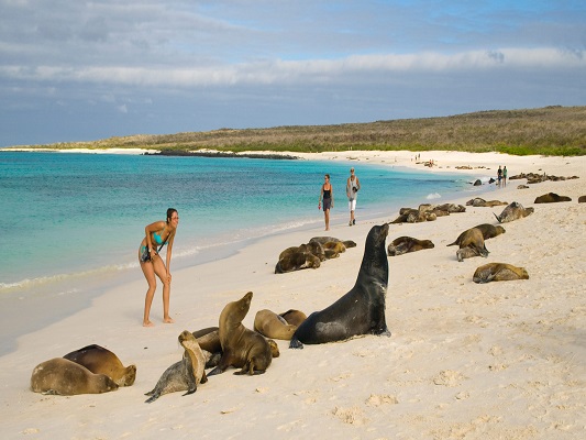 Galapagos 04D/03N
