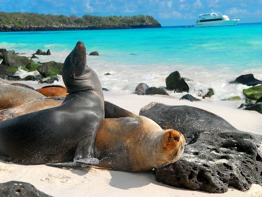 Guayaquil & Galápagos