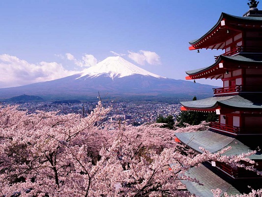 Japón Central 06D/05N