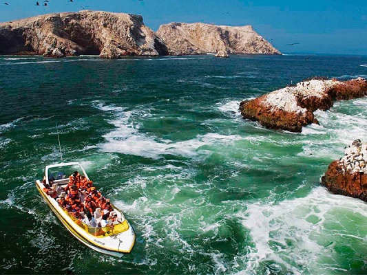 Ica - Paracas Año Nuevo